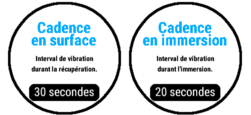 Vue cadence