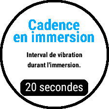 Vue cadence